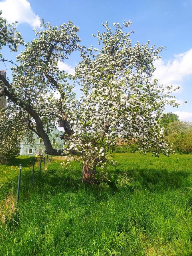 Polny Zakatek - Pokoje Goscinne Rybnica Buitenkant foto