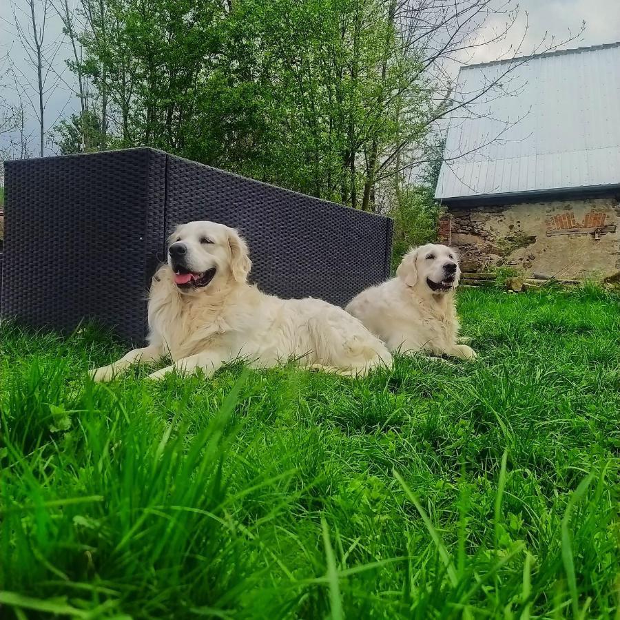 Polny Zakatek - Pokoje Goscinne Rybnica Buitenkant foto